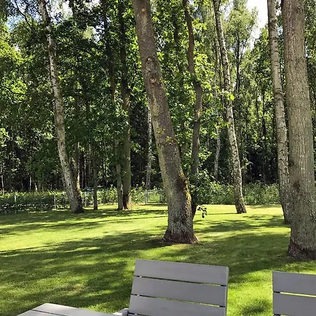 Muschelsucher *